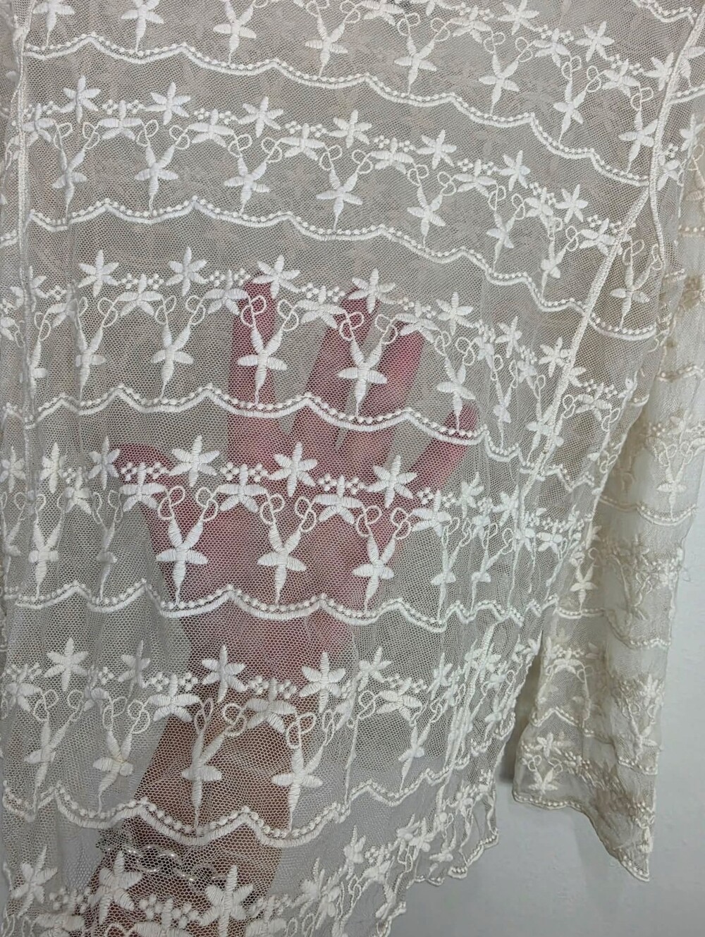 Tristan Cream Floral Lace Sheer Blouse - Picture 4 of 5